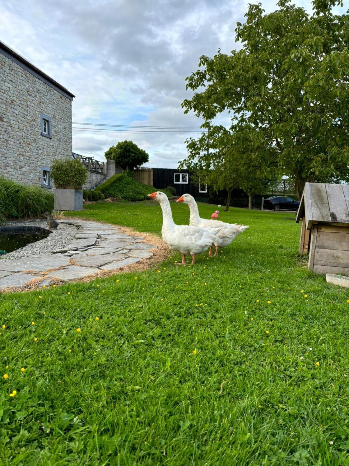 Le Clos Des Bansions Jalhay Eksteriør bilde